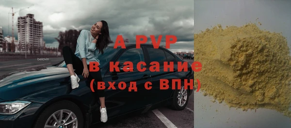 винт Ельня