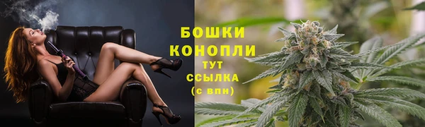 ГАЛЛЮЦИНОГЕННЫЕ ГРИБЫ Осташков