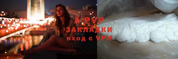 ГАЛЛЮЦИНОГЕННЫЕ ГРИБЫ Осташков