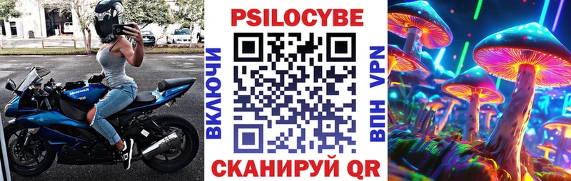 Псилоцибиновые грибы Psilocybe  сколько стоит  гидра зеркало  Рыбное 